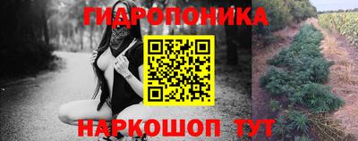 дмт Обь