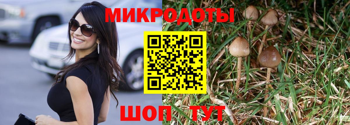 Псилоцибиновые грибы GOLDEN TEACHER Самара