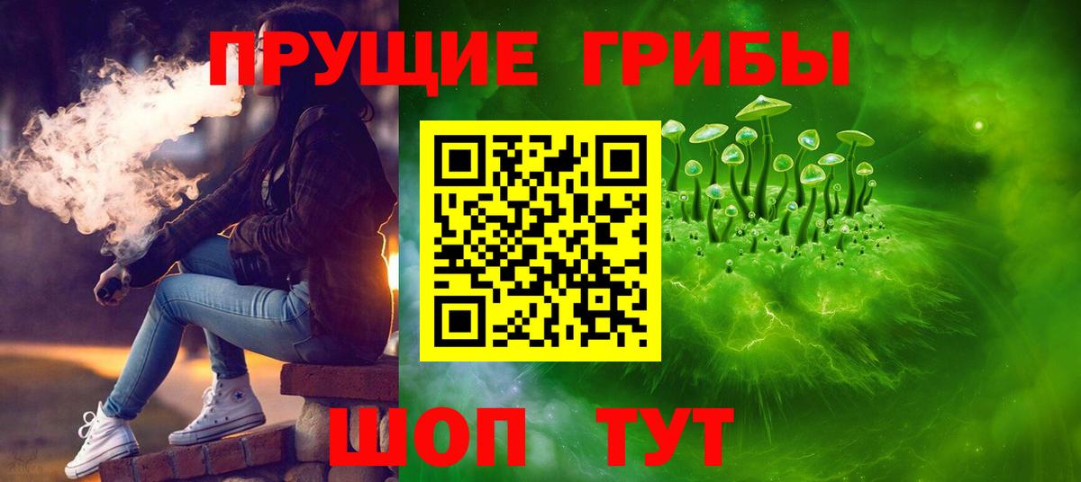 сколько стоит  Вход с VPN  Самара  Галлюциногенные грибы прущие грибы 